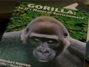 Crappy Gorilla book